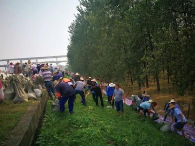 防汛一线㉞ | 禹王街道：勠力同心，共筑“安全防护堤”