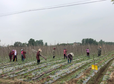 黄州区积极开展农业生产救灾工作