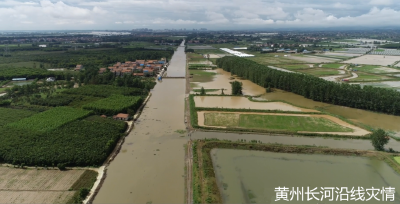 航拍②｜暴雨后，空中直击黄州长河沿线汛情