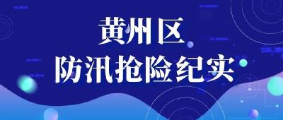 视频 | 黄州区防汛抢险纪实（二）