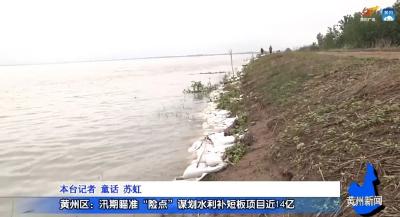 黄州区：瞄准“险点”谋划水利补短板项目近14个亿