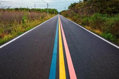 快看！黄州区首条乡村“彩虹路”正式上线啦！