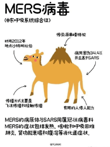 保护野生动物，更是保护我们自己