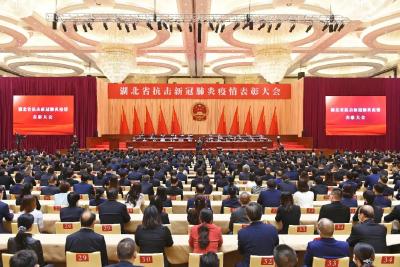 抗疫，黄州这些个人和集体获省级表彰啦~