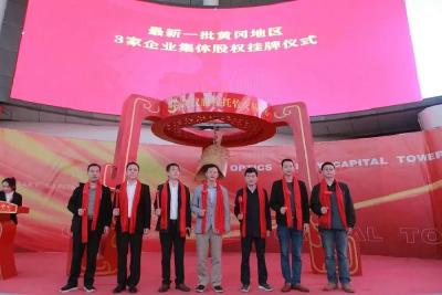 黄州区又一批企业在武交中心挂牌