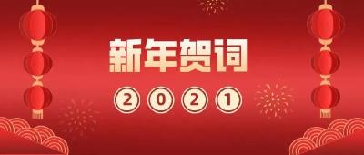 区委书记夏志东恭祝全区人民阖家欢乐、幸福安康！