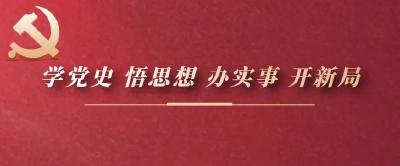 看！黄州区掀起党史学习教育热潮