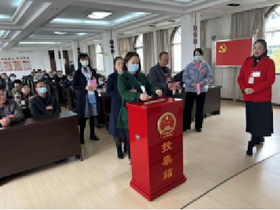 共选“领雁”显新颜 “换”来新风吹赤壁——赤壁街道顺利完成新一届居委会换届选举