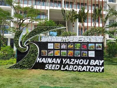 总书记考察的这个种子实验室，有何特别之处？