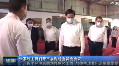 张家胜主持召开市委财经委员会会议