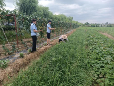 省农业农村厅来黄州区开展农产品监督抽查工作