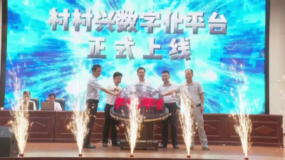 黄州区举行“村村兴数字化平台”上线启动仪式