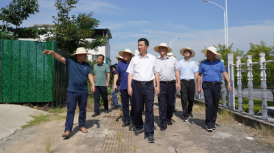 陈风调研市区主要道路沿街环境综合整治提升工作时强调：完善城市功能 改善人居环境