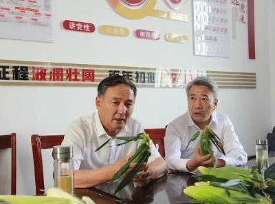 夏志东调研指导水果牛奶玉米产业发展工作