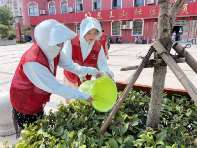 赤壁街道：抗旱保绿 共同缔造美好家园