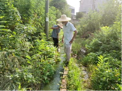 晏家山社区：抽水抗旱，为农田输送“及时水”