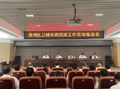 黄州区召开公立医院基层党建整体提升工作现场推进会