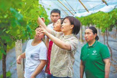 【党的二十大代表风采录】来凤县农园果蔬专业合作社理事长向辉：领办“农民大学”培训新型职业农民