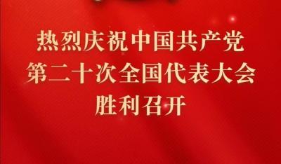 黄州区广大党员干部群众认真收听收看党的二十大开幕会（一）