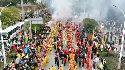 古城黄州：舞龙闹新春 民俗年味浓