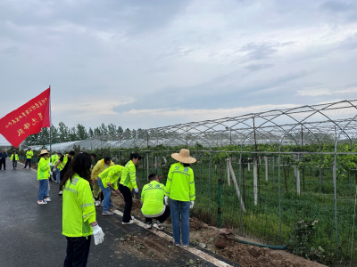 区农路中心：推进美丽城乡建设 打造绿美黄州农路