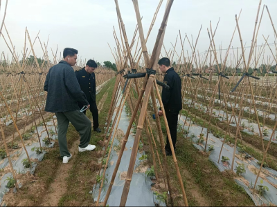 黄州区农业农村局开展“五一”期间农产品质量安全检查