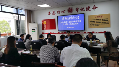黄州区审计局专题学习二十届中央审计委员会第一次会议精神
