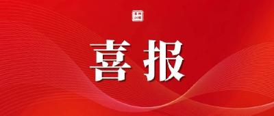 真抓实干！黄州区这项工作获省委省政府通报表扬