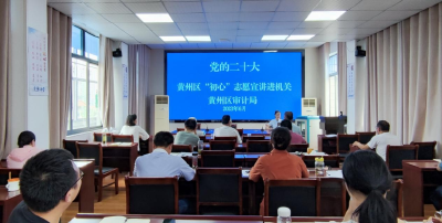 黄州区审计局开展党的二十大精神宣讲活动