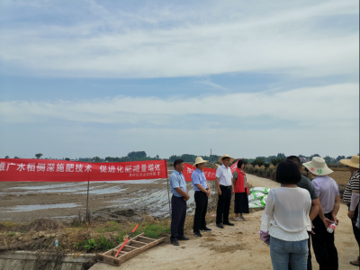 黄州区召开化肥减量增效“三新”技术推广暨水稻侧深施肥现场会