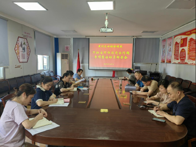 黄州区妇幼保健院召开不担当不作为突出问题专项整治动员部署会