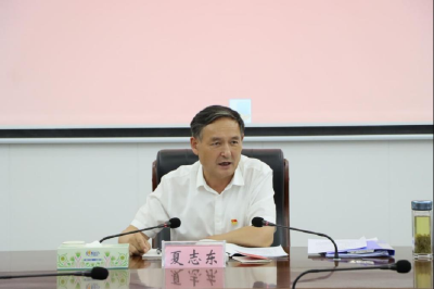 夏志东参加区委办公室7月支部主题党日活动