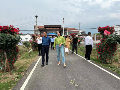 黄州区审计局对新型村集体经济扶持项目开展审计