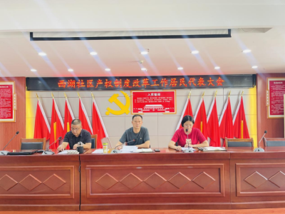 西湖社区召开社区集体产权制度改革居民代表动员大会