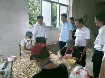 张社教到黄州区调研农民专业合作社发展情况