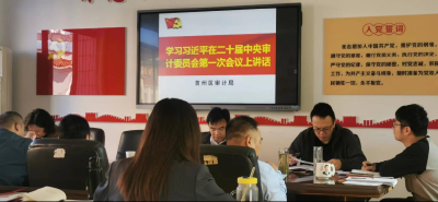 区审计局组织学习习近平总书记在二十届中央审计委员会第一次会议上的讲话精神