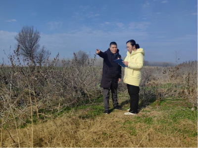 黄州区对耕地保护政策落实情况开展审计工作