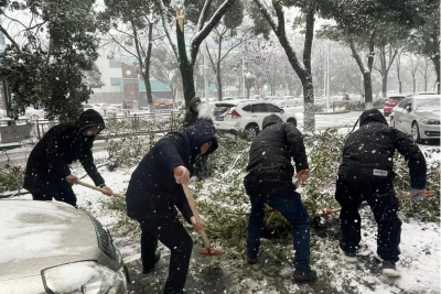 除雪保畅，区乡村振兴局在行动