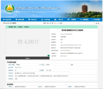黄州区农村产权项目线上交易迎来“开门红”
