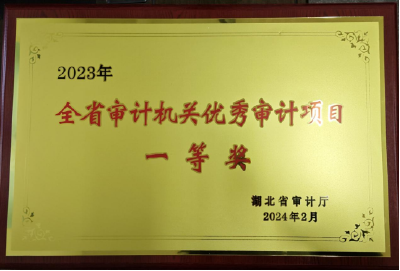 黄州区审计局一项目荣获湖北省优秀审计项目一等奖