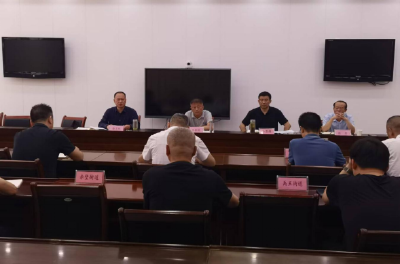 黄州区召开乡村振兴领域群众身边不正之风和腐败问题集中整治工作推进会