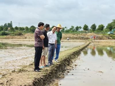 深入一线保苗护民生   筑牢防汛“安全网”