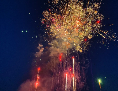 马术奔腾、风筝漫舞、花海狂欢——黄州区路口镇第六届紫云英踏青文化节盛大启幕