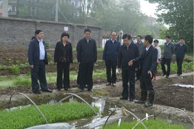 市委书记陶宏来香稻育种基地看望汤俭民