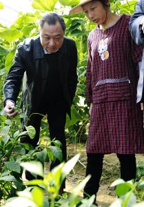 区领导到陡岗镇调研精准扶贫工作