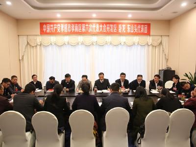 区委主要领导参加代表团分组讨论活动