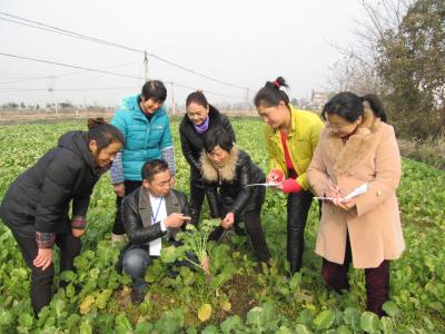 冬闲妇女忙充电