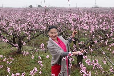 中国 孝感（卓尔小镇）第六届桃花文化旅游节盛大启幕