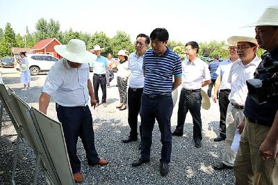 市人大领导来我区调研湿地保护工作