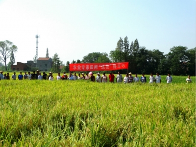 农业专家送技下乡“保丰收” 
